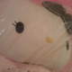 Image for article titled My Uncomfortable Lunch At The Hello Kitty Dreams Restaurant